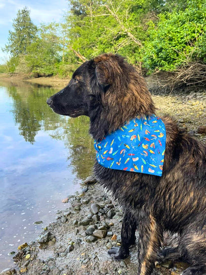 Gone Fishing Pet Bandana - Mutty Mornings