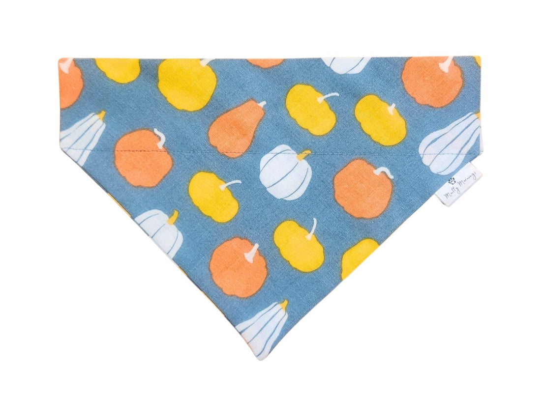 Gourd Times Pet Bandana - Mutty Mornings