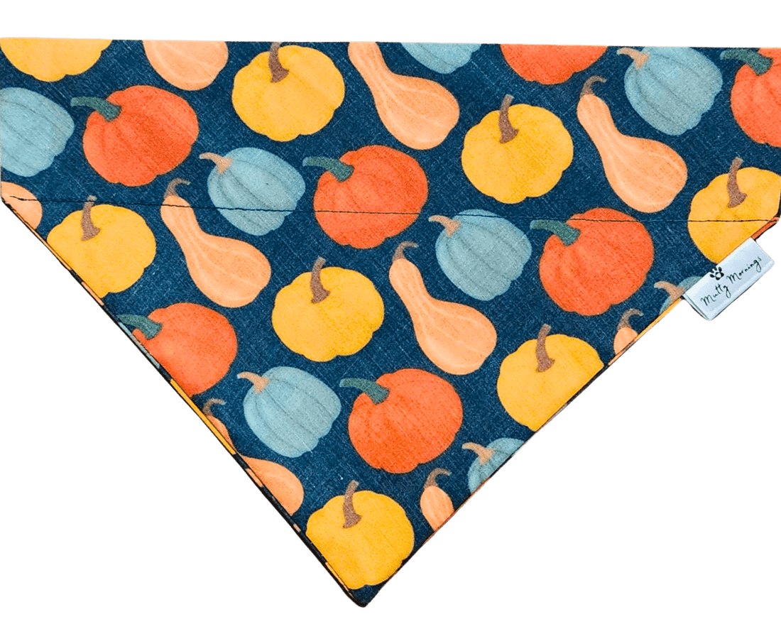 Gourd Times Pet Bandana - Mutty Mornings