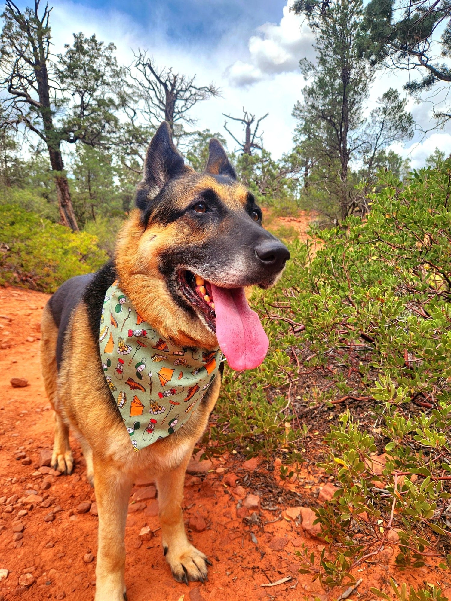 Green Camping Pet Bandana - Mutty Mornings