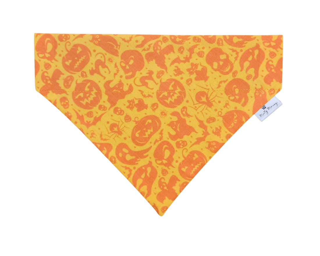 Halloween Haunt Pet Bandana - Mutty Mornings