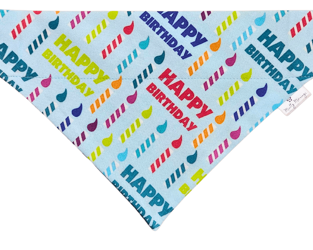 Happy Birthday Pet Bandana - Mutty Mornings