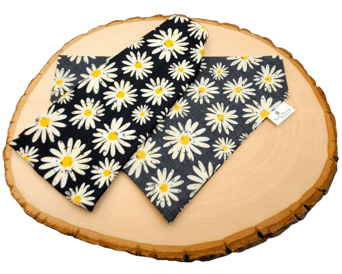 Hazy Daisy Bandana &amp; Headband Set - Mutty Mornings
