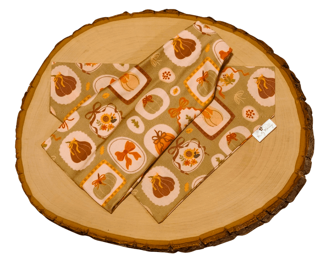 Hearth and Home Bandana &amp; Headband Set - Mutty Mornings