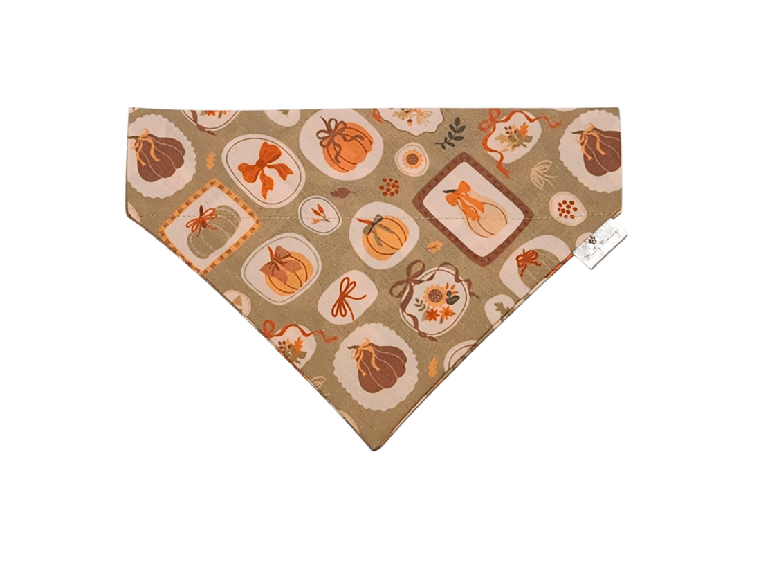 Hearth and Home Bandana &amp; Headband Set - Mutty Mornings