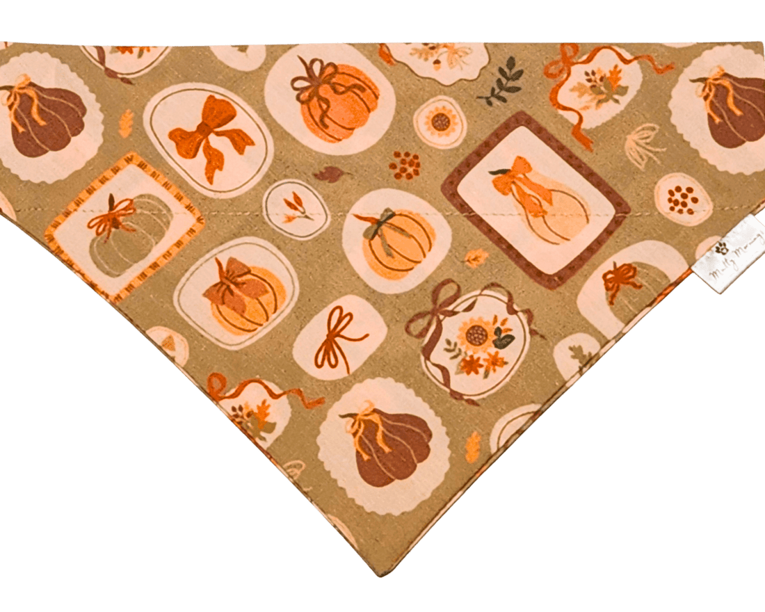 Hearth and Home Bandana &amp; Headband Set - Mutty Mornings