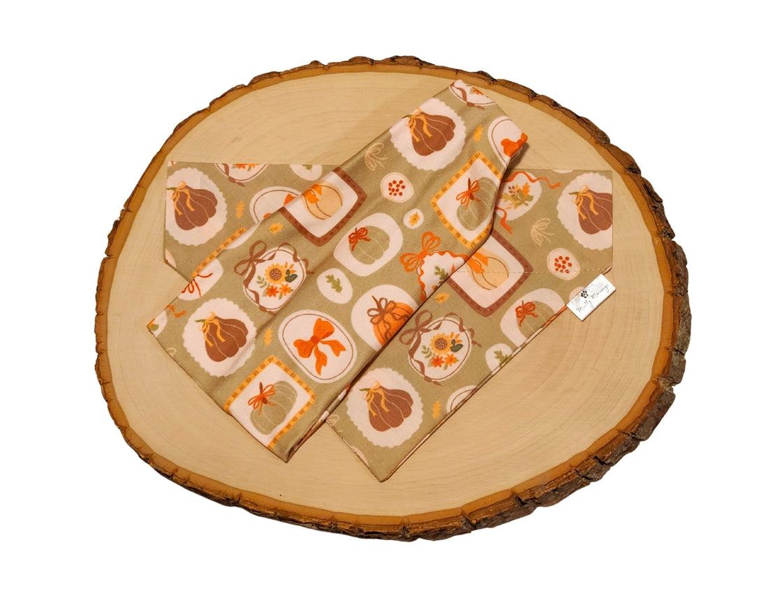 Hearth and Home Bandana &amp; Headband Set - Mutty Mornings