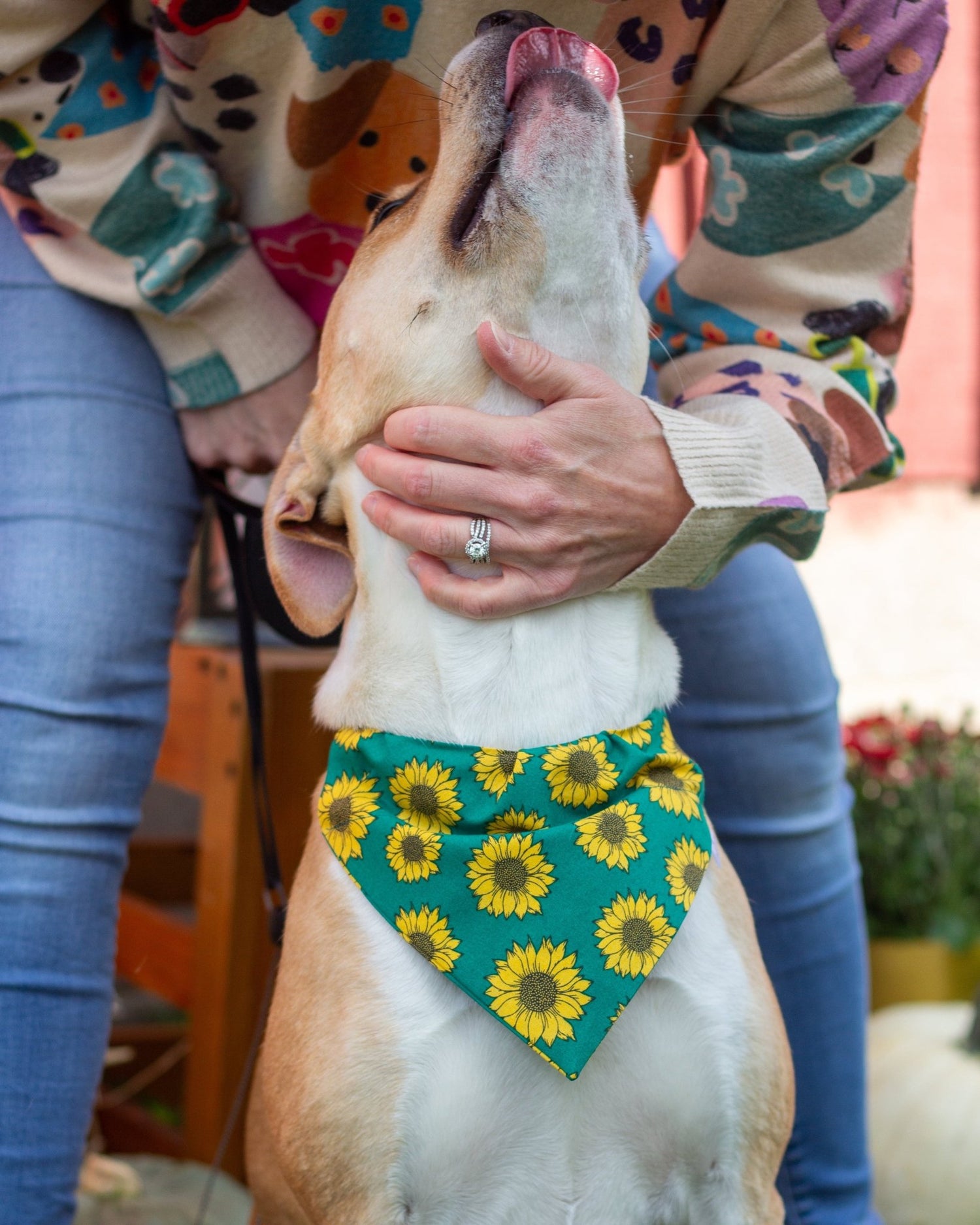 Here Comes the Sun(flower) Pet Bandana - Mutty Mornings