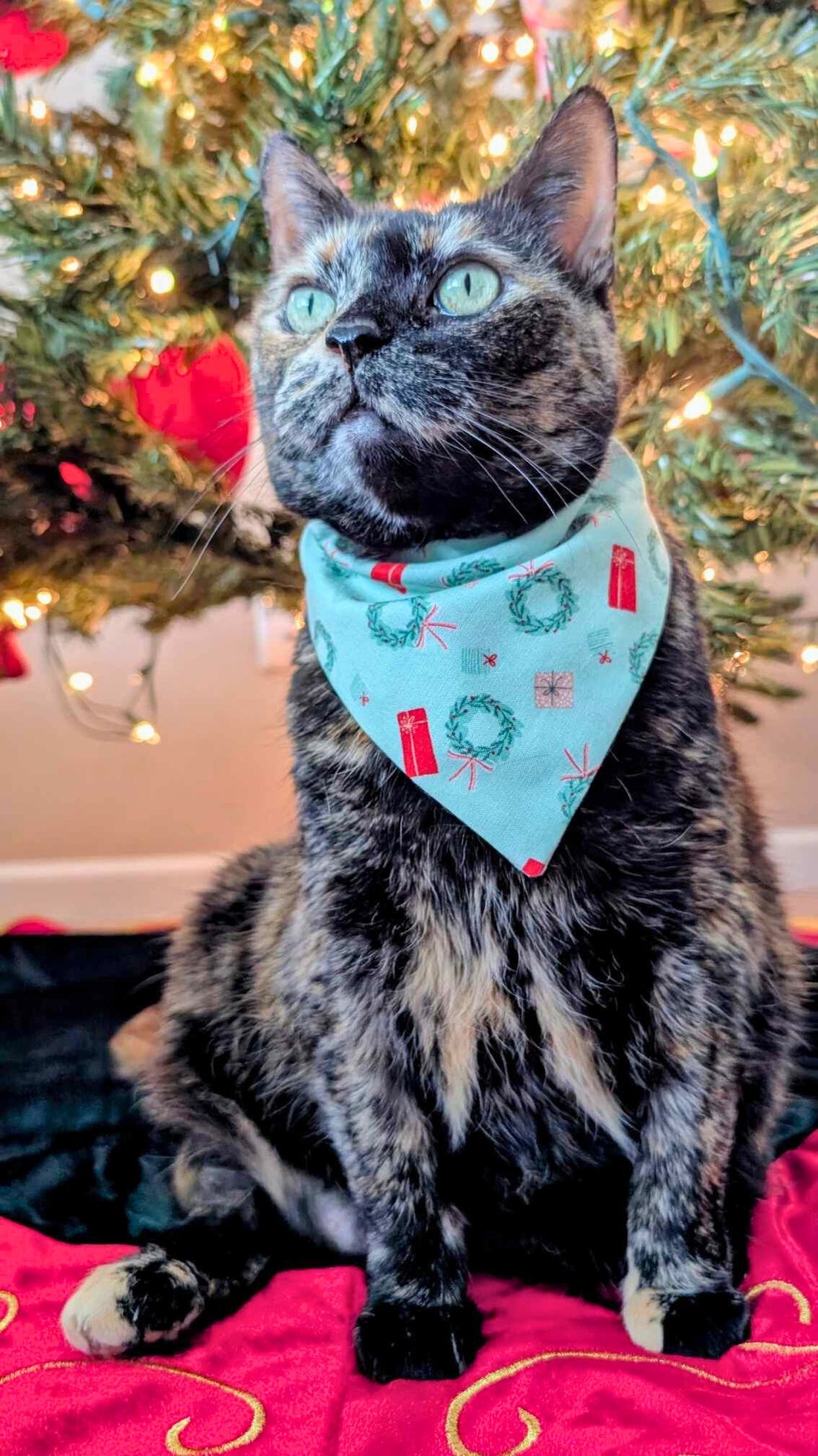 Home for the Holidays Pet Bandana - Mutty Mornings