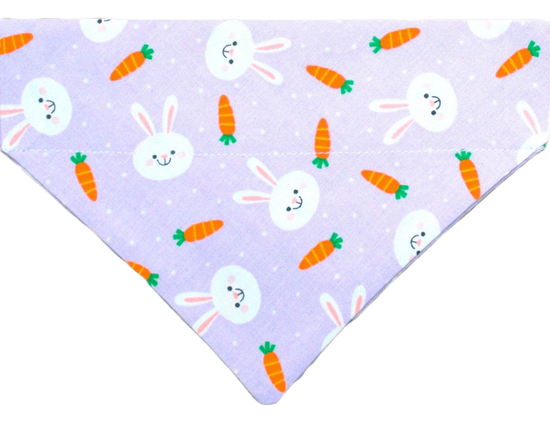 Hoppy Easter Pet Bandana - Mutty Mornings