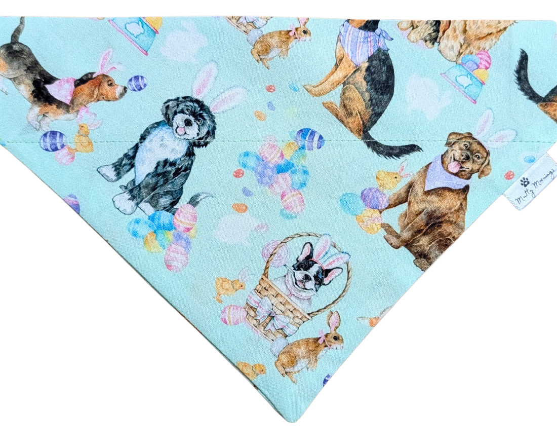 Hoppy Pup Parade Pet Bandana - Mutty Mornings