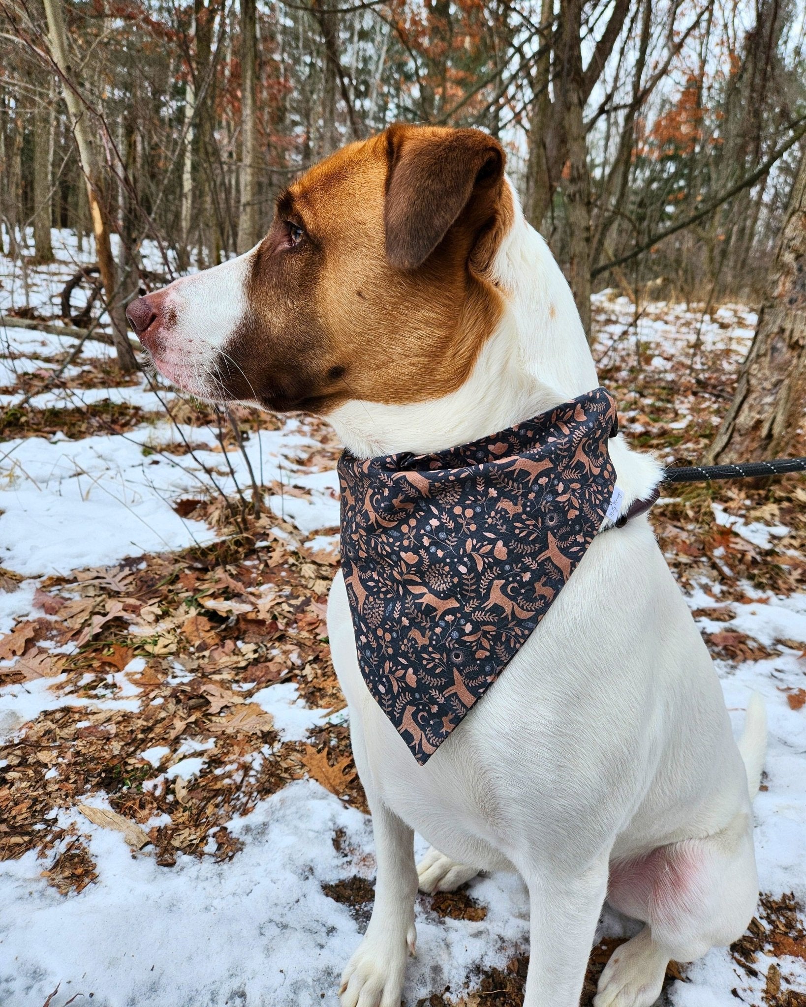 Howl at the Moon Pet Bandana - Mutty Mornings