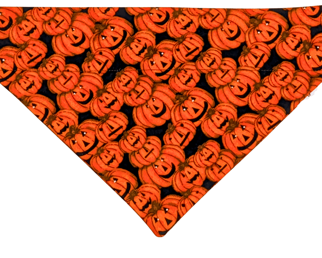 Jack-O&