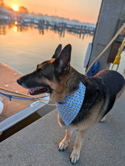 Knotted Anchors Pet Bandana - Mutty Mornings