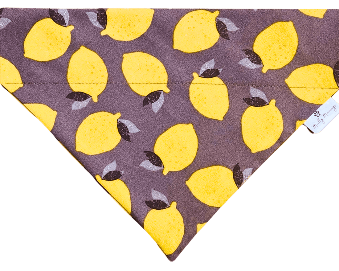 Lemon Squeezy Pet Bandana - Mutty Mornings