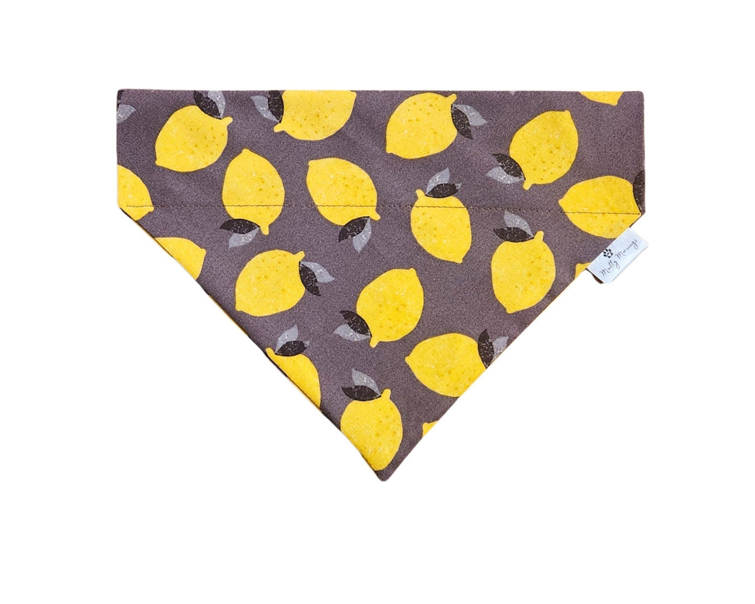 Lemon Squeezy Pet Bandana - Mutty Mornings