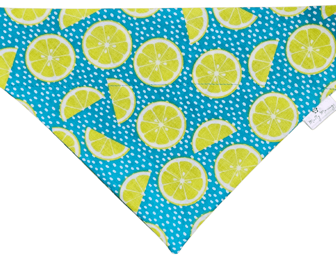 Lime Time Pet Bandana - Mutty Mornings