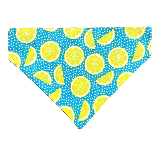 Limes Pet Bandana - Mutty Mornings