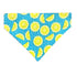Limes Pet Bandana - Mutty Mornings