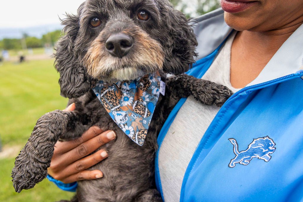 Lions Leopard Football Pet Bandana - Mutty Mornings