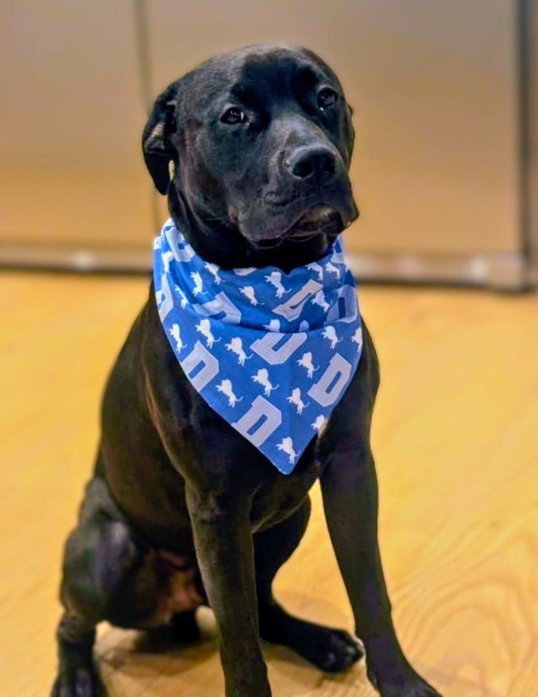 Lions Pride Pet Bandana - Mutty Mornings