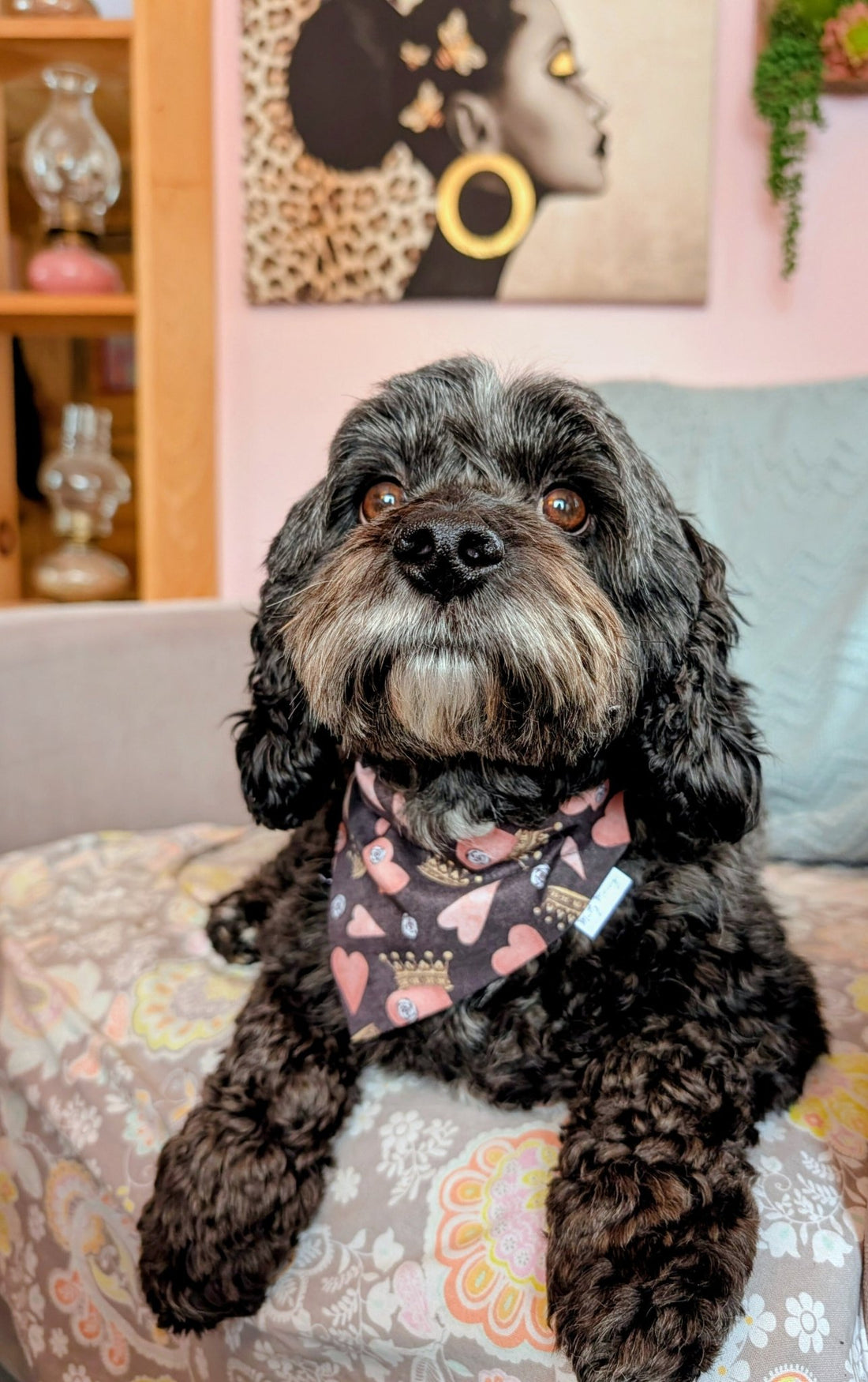 Love You, Queen Pet Bandana - Mutty Mornings