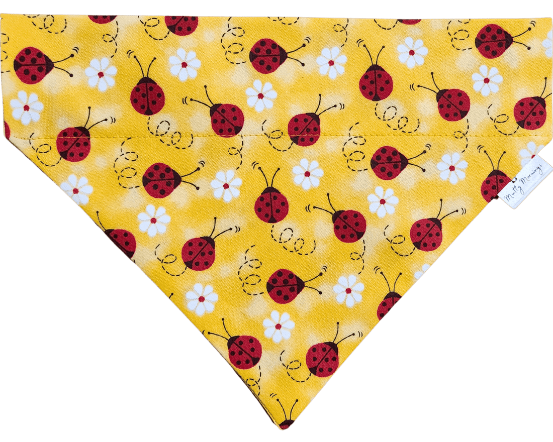 Lucky Ladybug Pet Bandana - Mutty Mornings