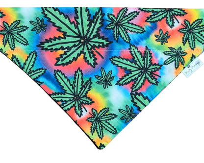 Mary Jane Pet Bandana - Mutty Mornings