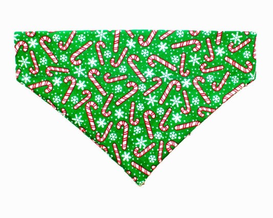 Merry Mint Pet Bandana - Mutty Mornings