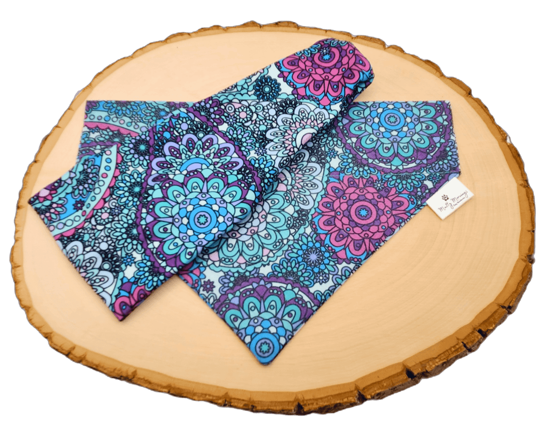 Merzouga Paisley Bandana &amp; Headband Set - Mutty Mornings
