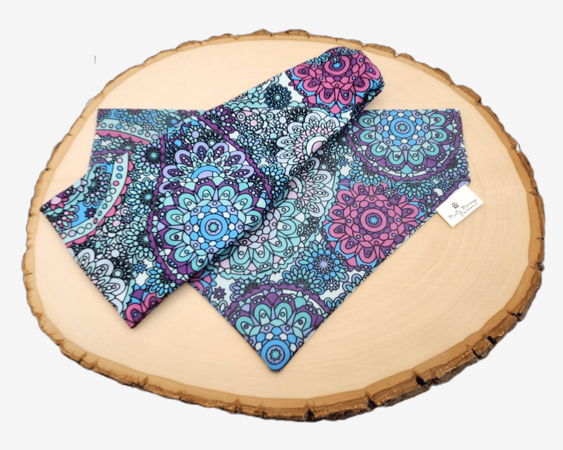 Merzouga Paisley Bandana &amp; Headband Set - Mutty Mornings