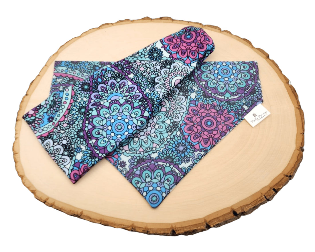 Merzouga Paisley Bandana &amp; Headband Set - Mutty Mornings