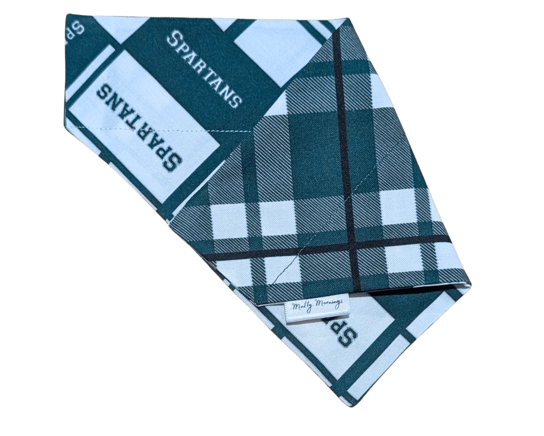 Michigan State University Plaid Reversible Pet Bandana - Mutty Mornings