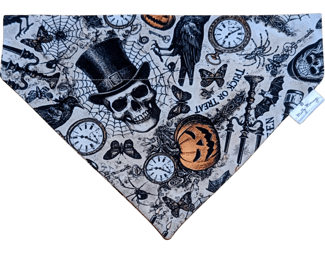 Midnight Mischief Pet Bandana - Mutty Mornings