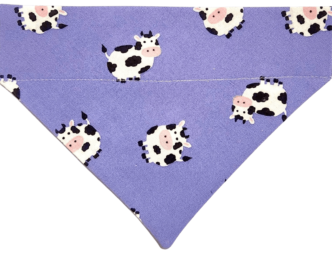 Moo - dy Cow Pet Bandana - Mutty Mornings