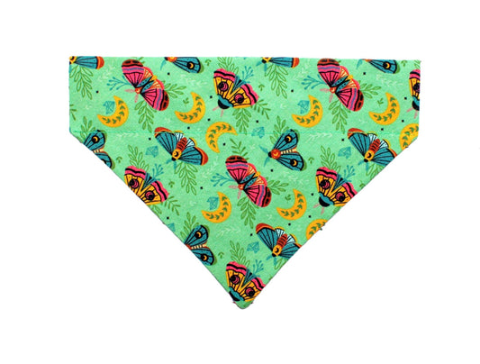 Moths Pet Bandana - Mutty Mornings