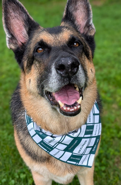 MSU Squares Pet Bandana - Mutty Mornings