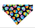 Neon Cupcakes Pet Bandana - Mutty Mornings