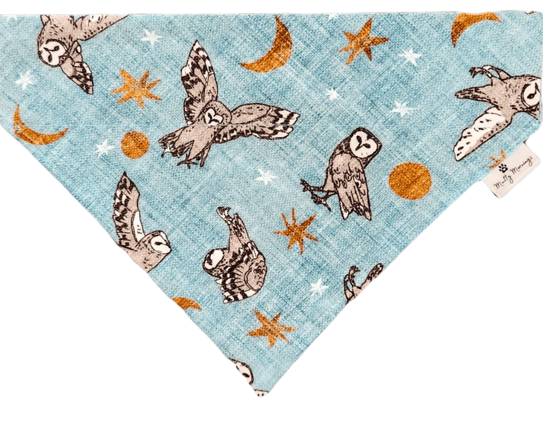 Night Owls Pet Bandana - Mutty Mornings