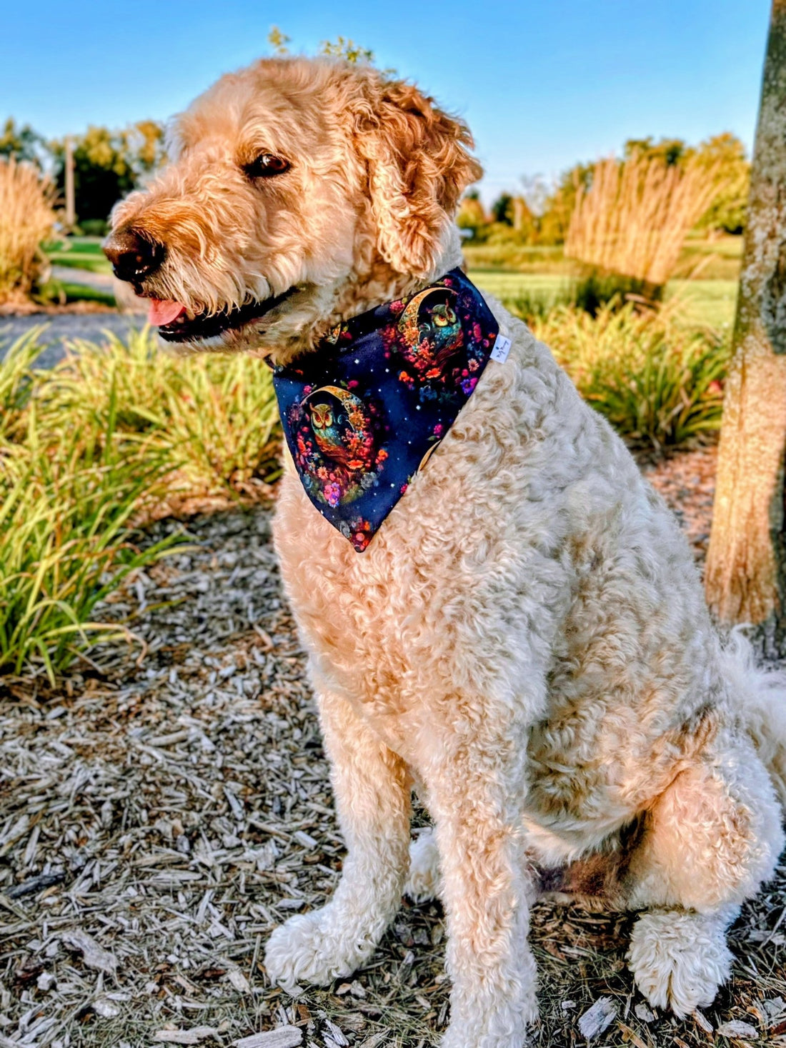 Nocturnal Nectar Pet Bandana - Mutty Mornings
