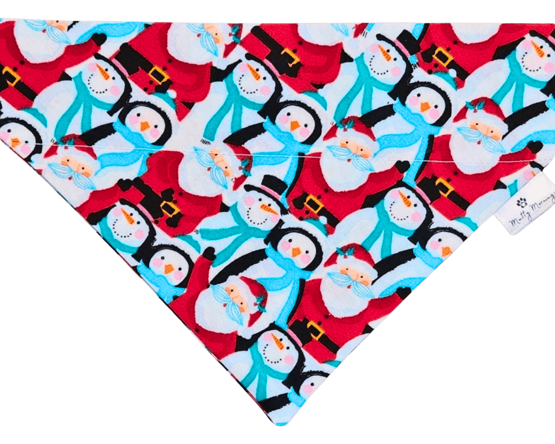 North Pole Pet Bandana - Mutty Mornings
