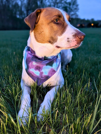 Northern Lights Pet Bandana - Mutty Mornings