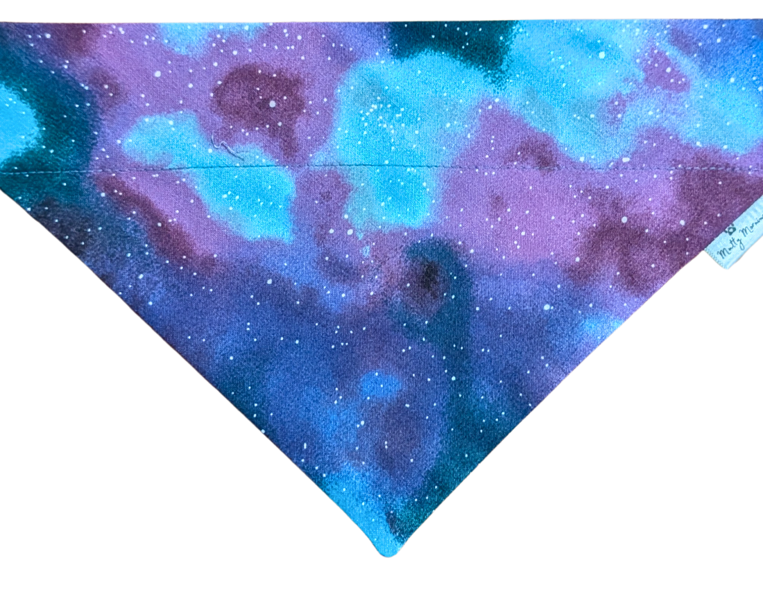Northern Lights Pet Bandana - Mutty Mornings