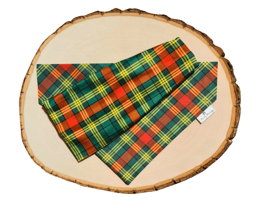Northern Whimsy Bandana &amp; Headband Set - Mutty Mornings