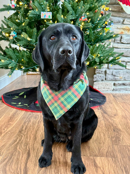 Northern Whimsy Pet Bandana - Mutty Mornings