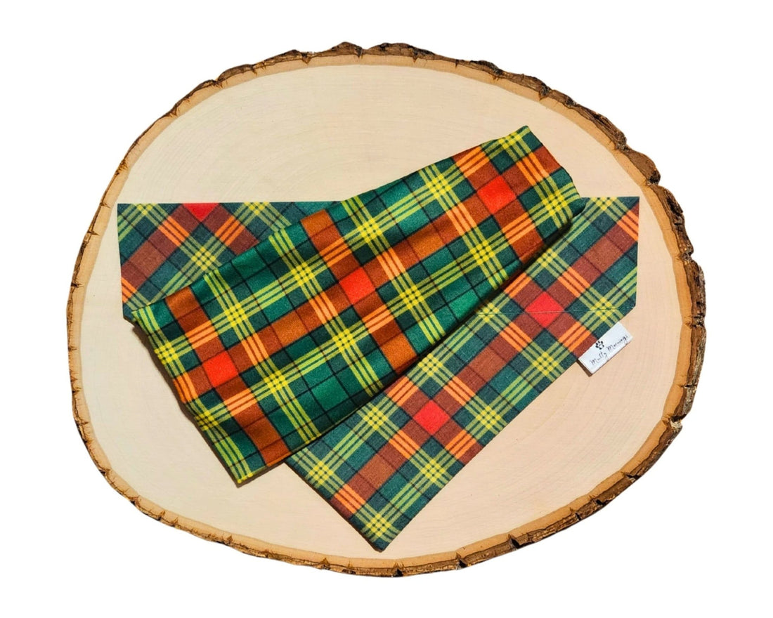 Northern Whimsy Pet Bandana &amp; Matching Headband Set - Mutty Mornings