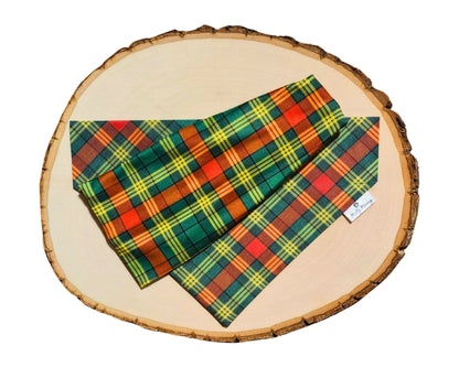 Northern Whimsy Pet Bandana &amp; Matching Headband Set - Mutty Mornings