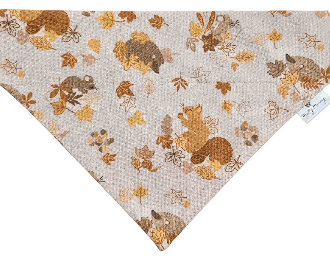 Nutty by Nature Pet Bandana - Mutty Mornings