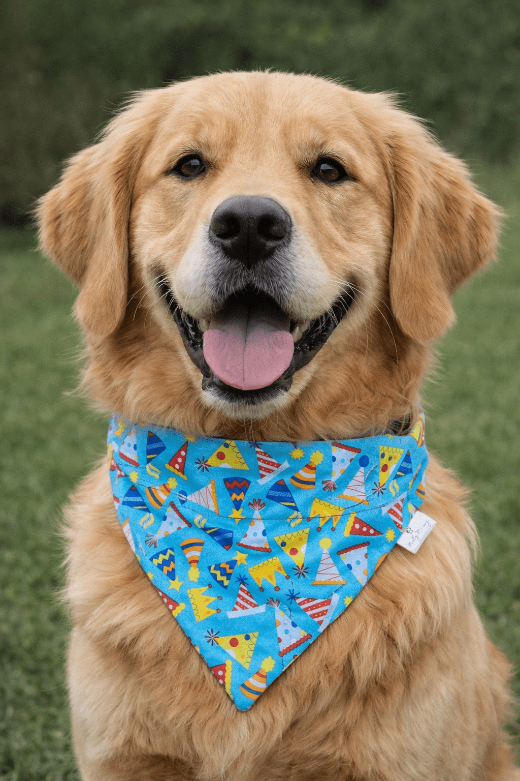 Pawty Time Pet Bandana - Mutty Mornings