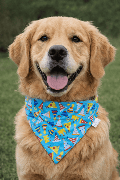 Pawty Time Pet Bandana - Mutty Mornings